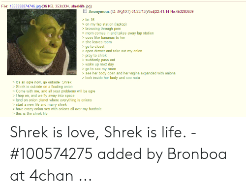 Shrek love life lost layers