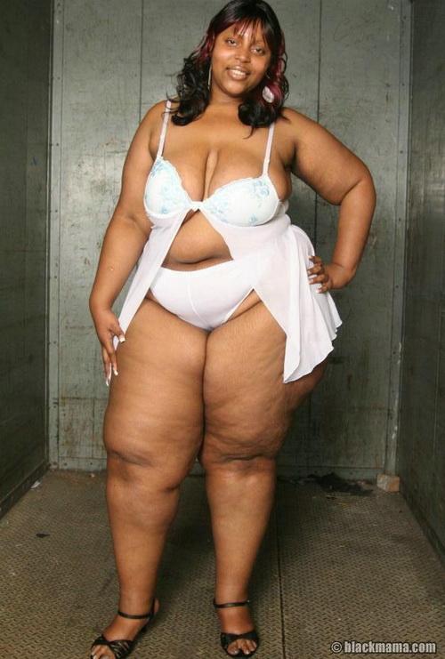 Jackal reccomend big fat huge black women upskirt