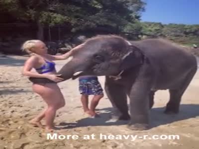 Elefanten teen porno