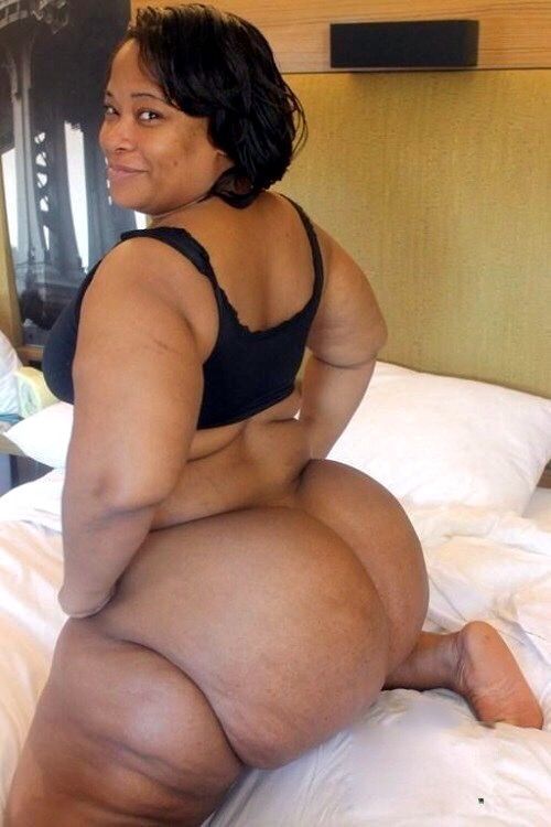 Ebony big booty sex