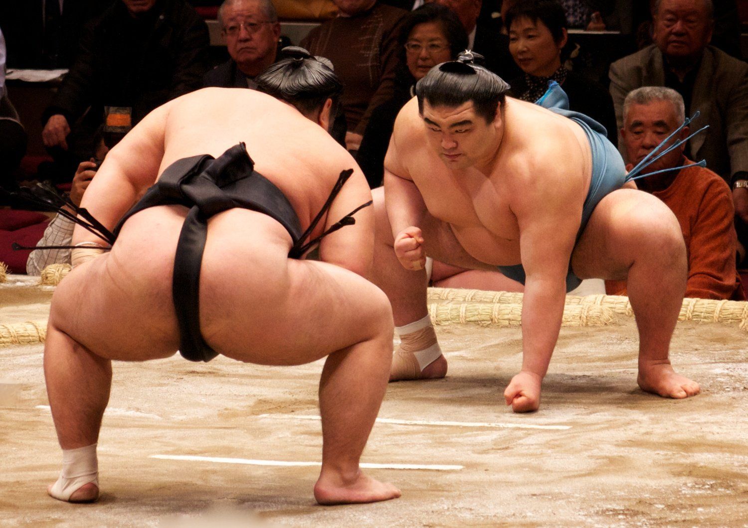 Sumo wrestling japan