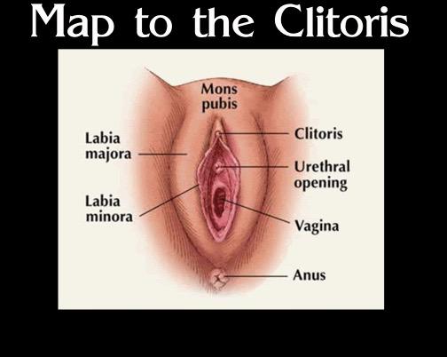 best of Clit Location of