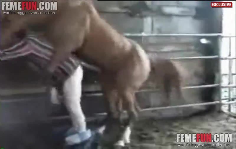 best of Getting stallion by Man fucked