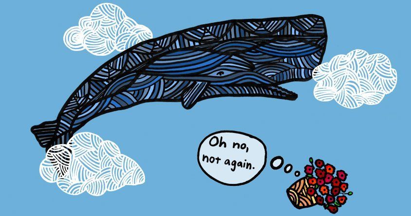 London reccomend Sperm whale petunias