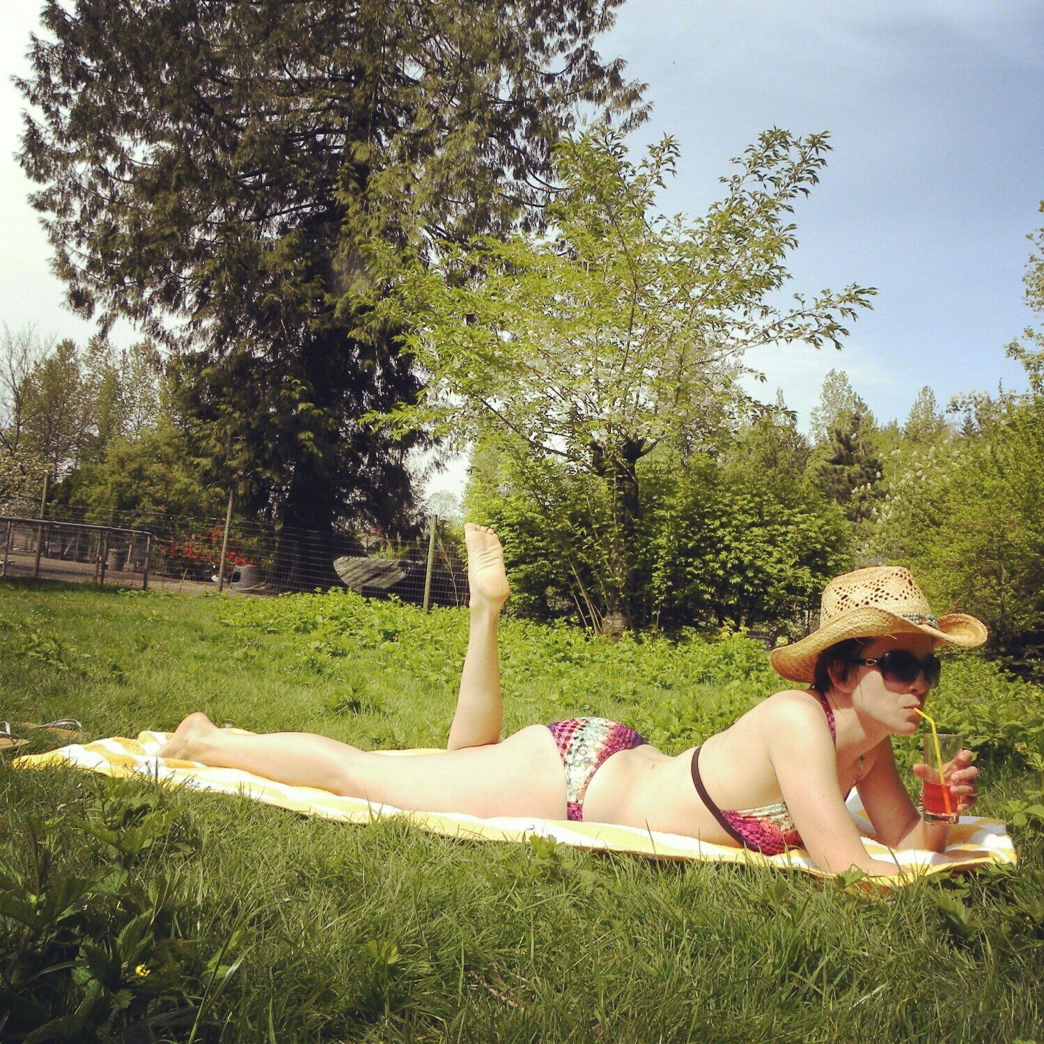 Yak reccomend Wife sunbathing back yard