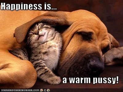 best of Is warm Happiness pussy a