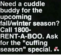 best of A cuddle buddy Rent