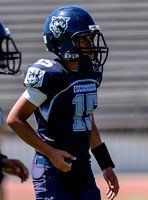 Froggy reccomend Carlsbad golden lancers pee wee football