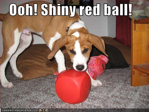 Lucy L. reccomend Ooh shiny red ball