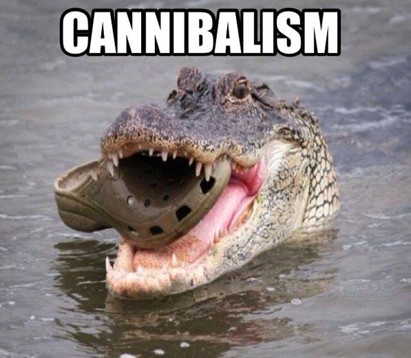 Jokes cannibals