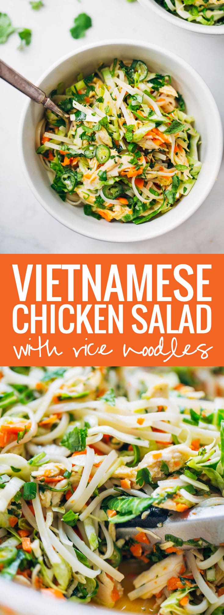 Red L. reccomend Asian noodle recipe vietnamiese