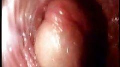 Reno reccomend Camera pics penis inside vagina