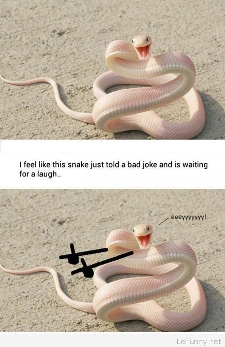 best of Liner about One snakes jokes