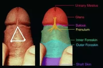 Opal reccomend New masturbation techniques for