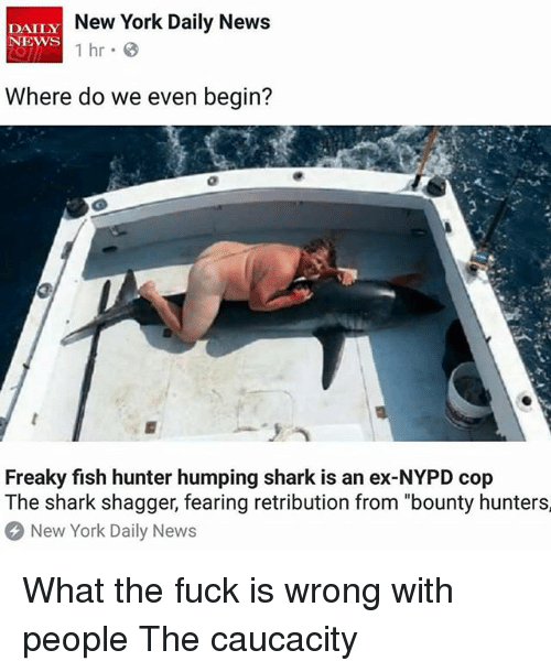 How do fish fuck