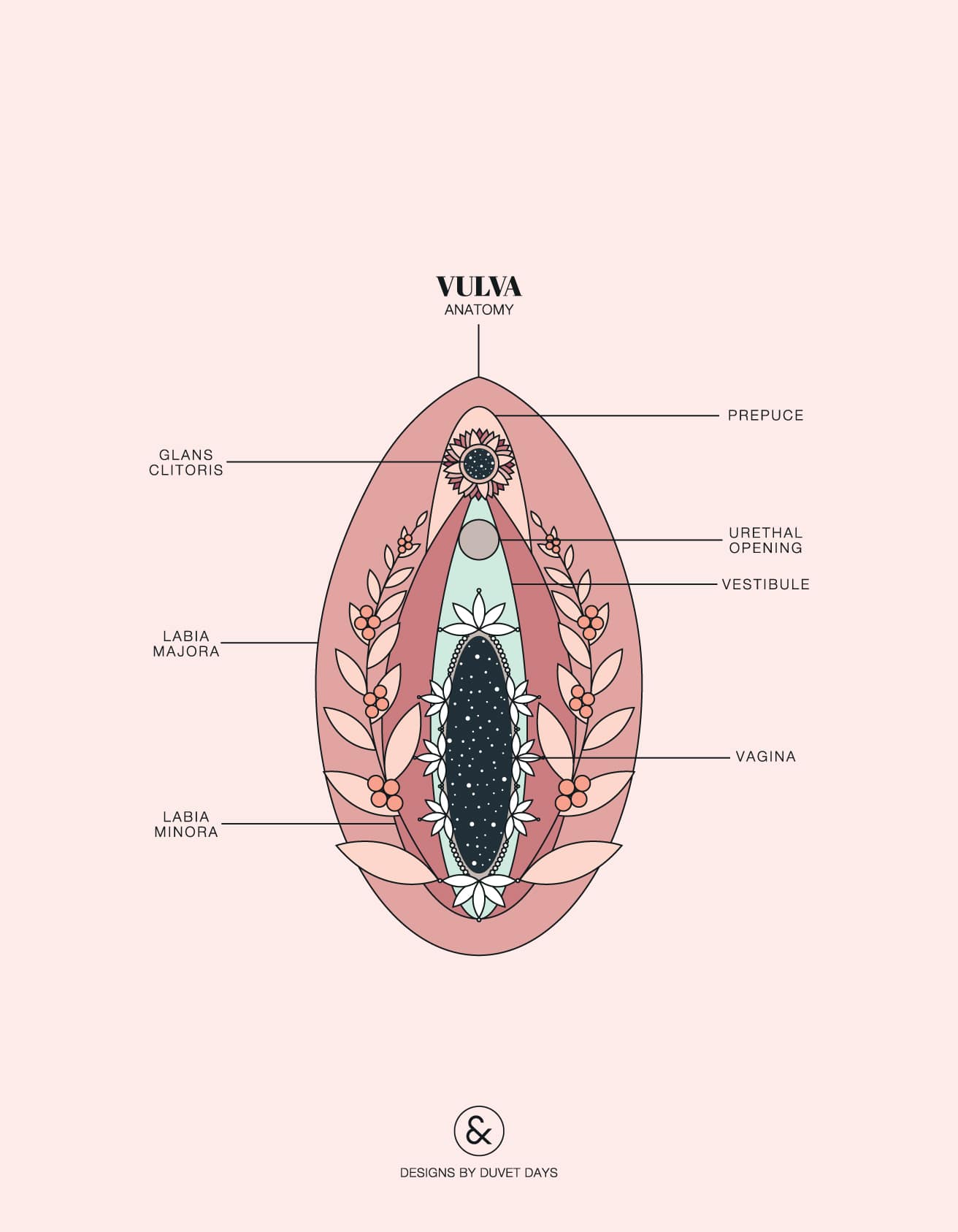 best of Clitoris diagram and Vagina