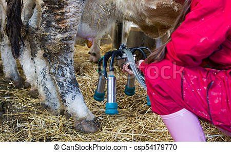 Sinker reccomend Farm girls with milking machine