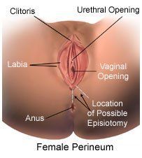 Tribune reccomend Cut inside my vagina