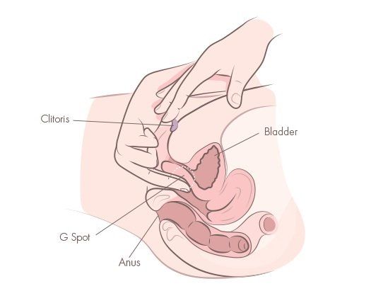 Clitoris orgasm technique