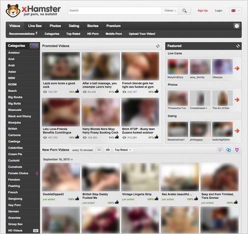 Website hamster sex Granny Porn
