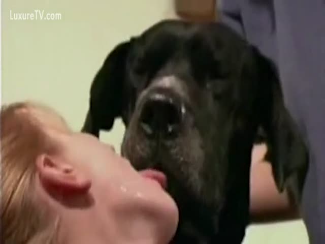 Slut kissing various dogs