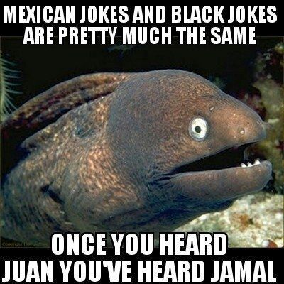 Best bad joke eel ever