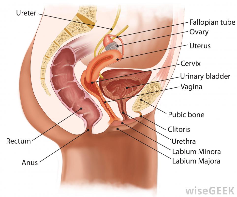 Burberry reccomend Hemorrhage of rectum and anus