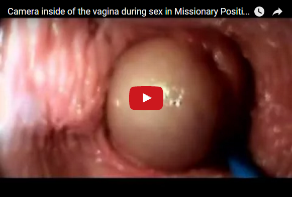 best of Inside vagina pics penis Camera