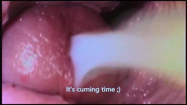 Camera pics penis inside vagina