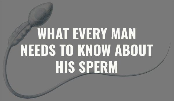 best of Sperm L-arge count low