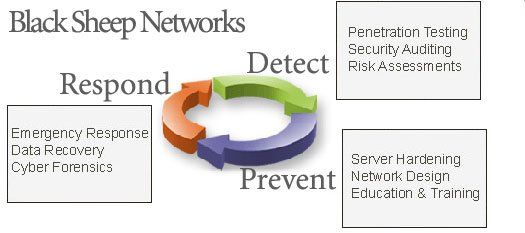 Bronze O. reccomend Penetration network security consultants