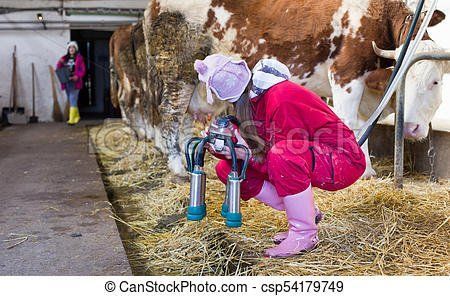 Mooch reccomend Farm girls with milking machine