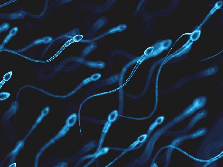 Boomerang reccomend Sperm causing nausea