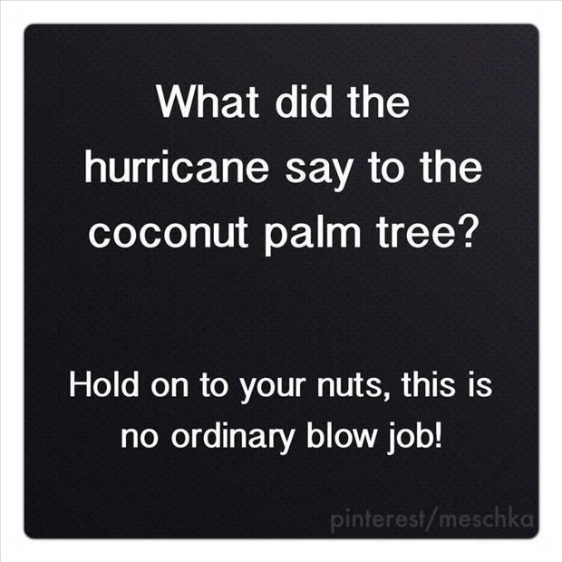 Funny hurricane poems