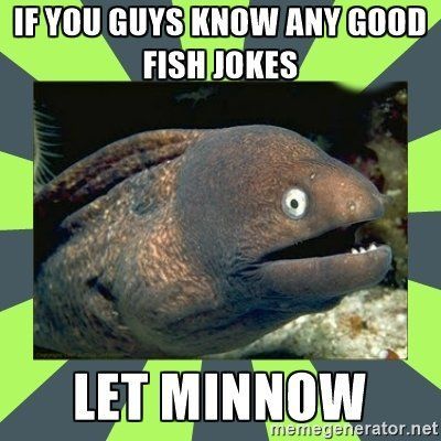 Wildberry reccomend How do you communicate with a fish joke