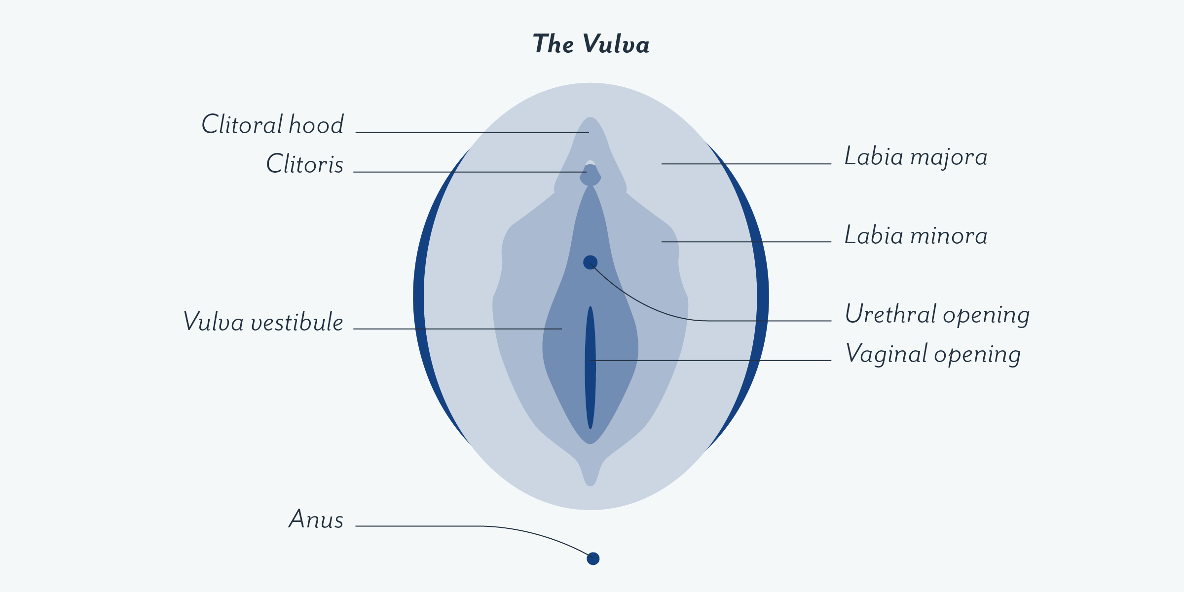 best of A vulva of Parts