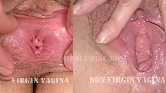 Butt Slut Vagina Virgin