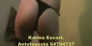 Sex Escort in Antofagasta