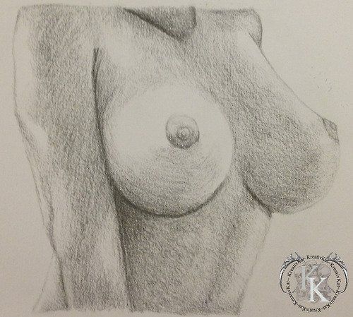 Sketch of naked girls boobs