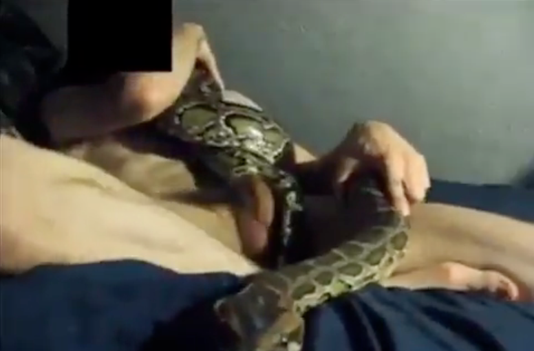 best of With snakes videos sex