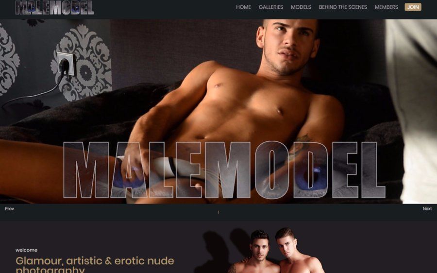 Gucci reccomend naked malemoddels