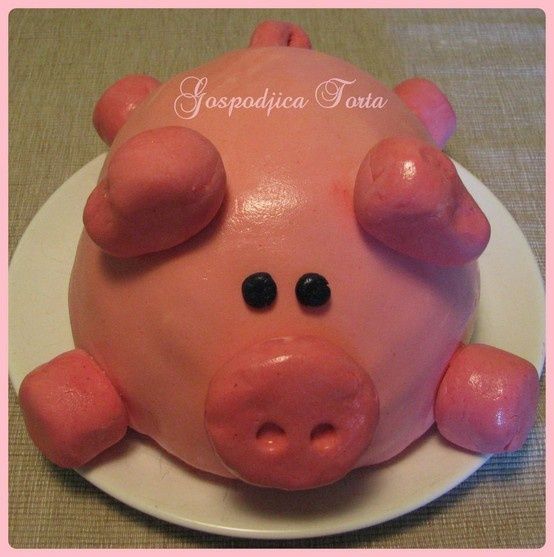 Pig eating cake